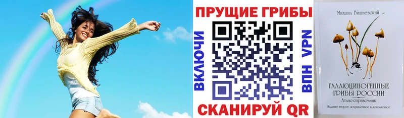 Псилоцибиновые грибы Cubensis  Вельск 